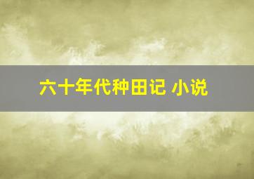 六十年代种田记 小说